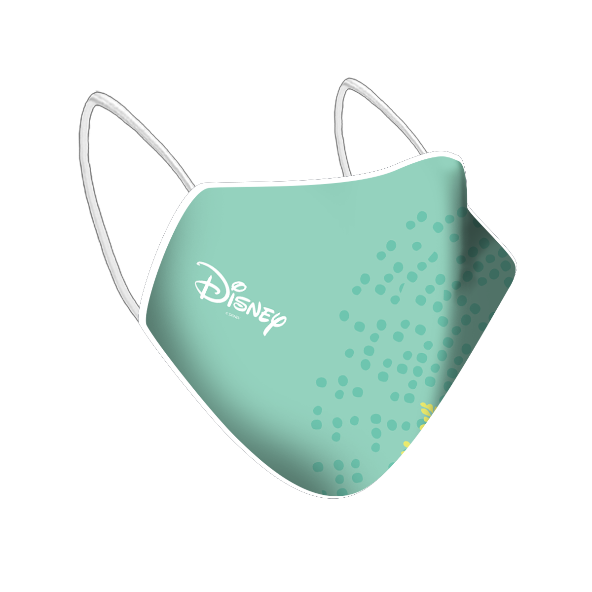 Anti Pollution Mask