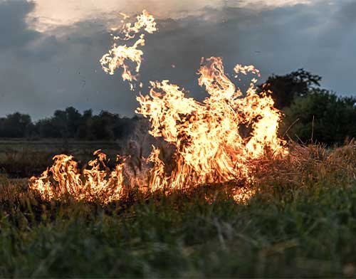 Time to take cover - winter is here and will bring the annual apocalypse along with!