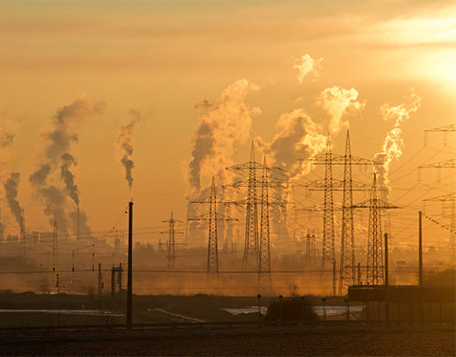 Living through a Twin-Demic