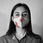 Anti Pollution Mask