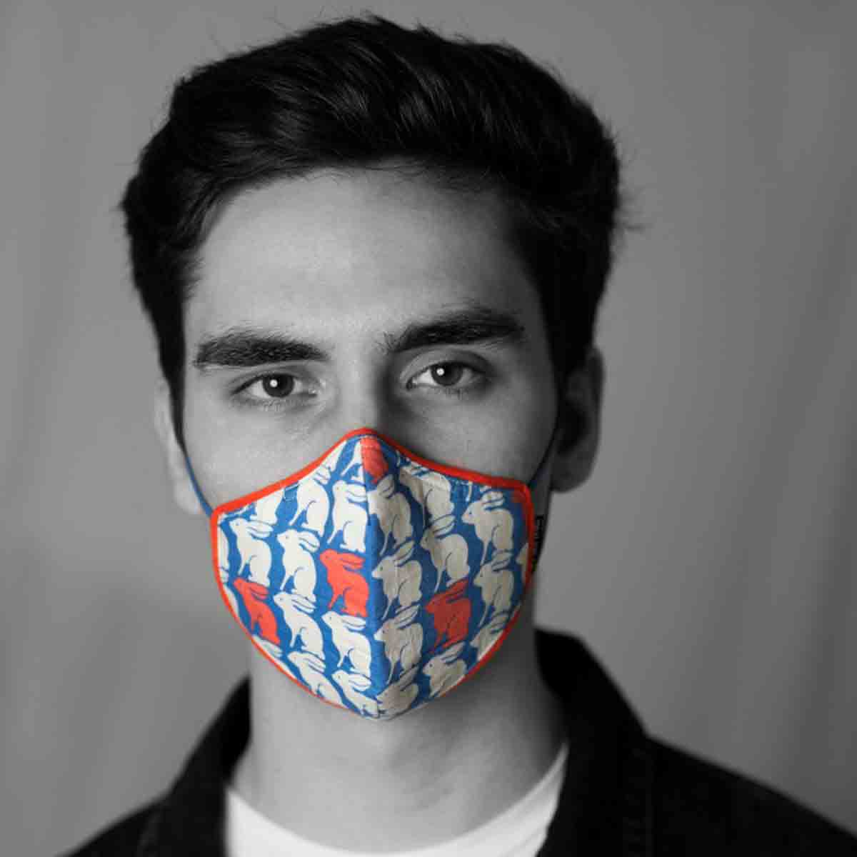 Anti Pollution Mask