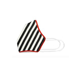 Anti Pollution Mask