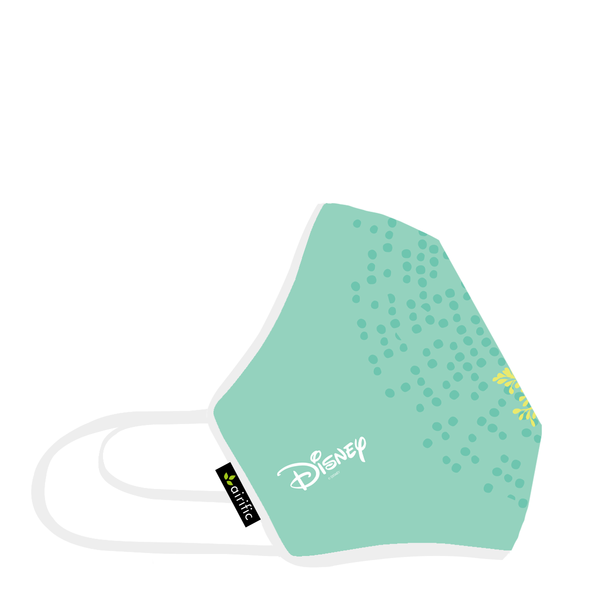 Anti Pollution Mask