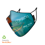 Washable and Reusable Mask 