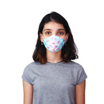 anti pollution mask